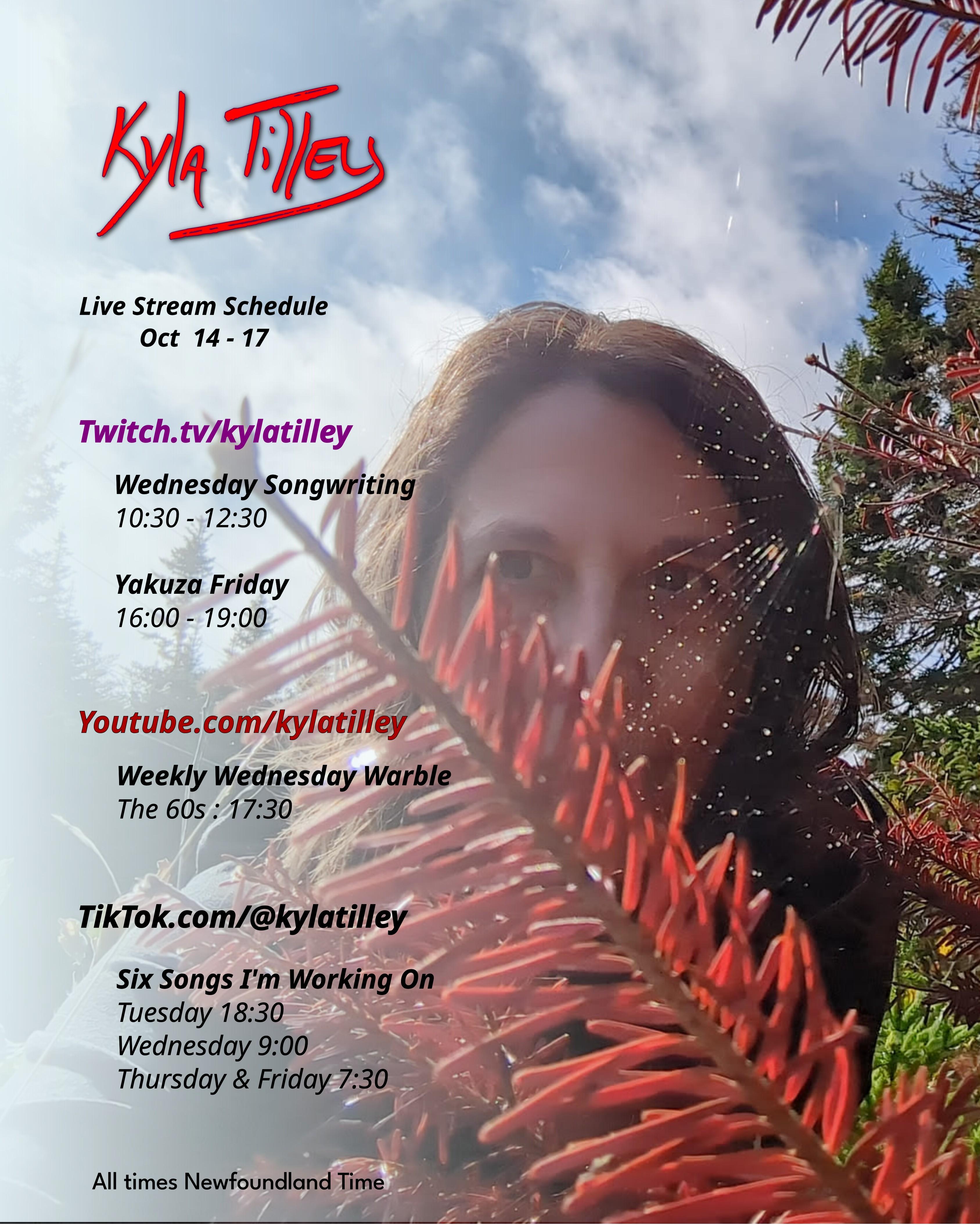 Kyla Tilley (White woman, brown hair, blue eyes) looking through the leaves of an evergreen that's turned orange towards a spider on a web. @kylatilley stream schedule Oct 14-17 Twitch.tv/kylatilley...
	  
	  <a href=